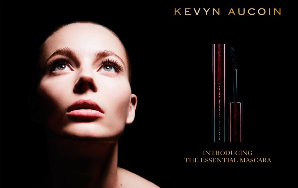 David-Roemer-for-Kevyn-Aucoin