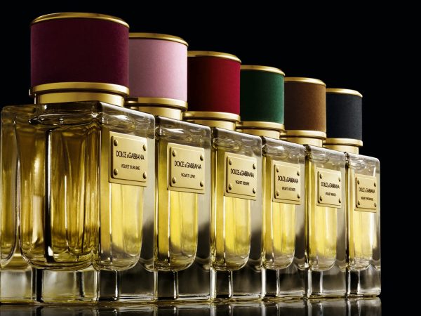 The Velvet collection fragrances: the essence of Dolce & Gabbana