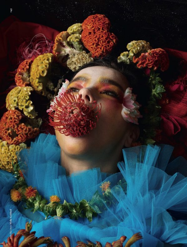 bjork debut daye bjork debut daye