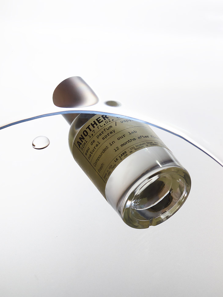 15 Scents for September by Harvey Jackson & Damien Vaughan Shippee