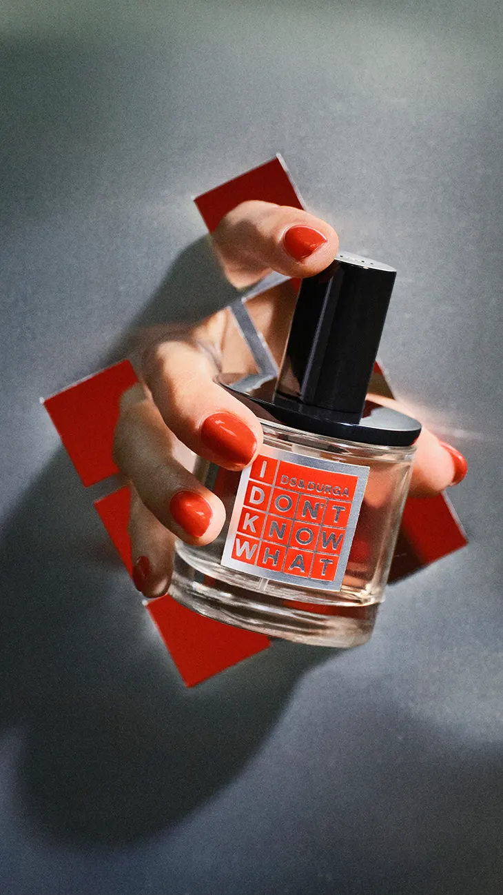 D.S. & Durga Holiday