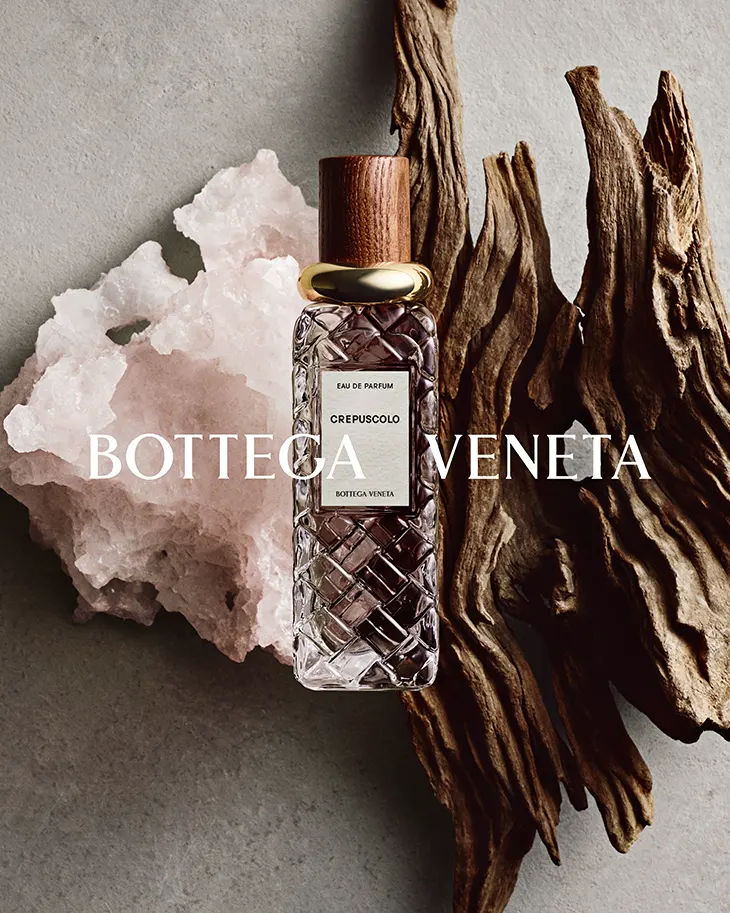 Bottega Veneta Alta Collection